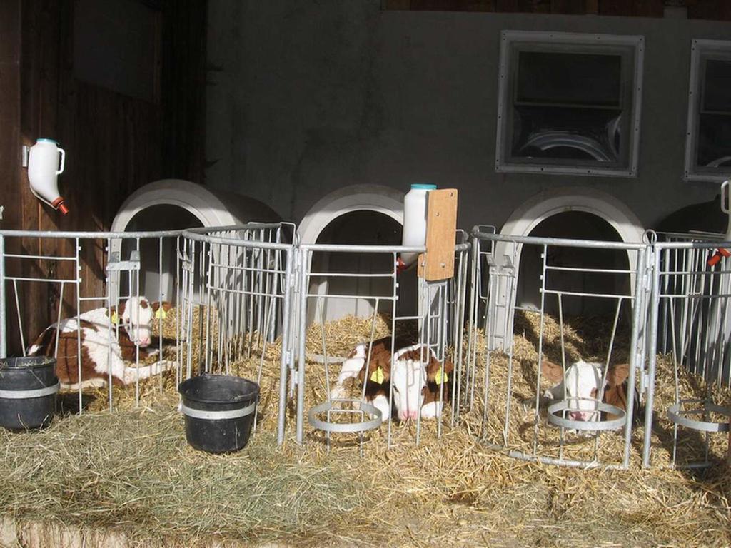 Erholung Am Bauernhof Bei Familie Seidl / Messner Βίλα Zeutschach Εξωτερικό φωτογραφία