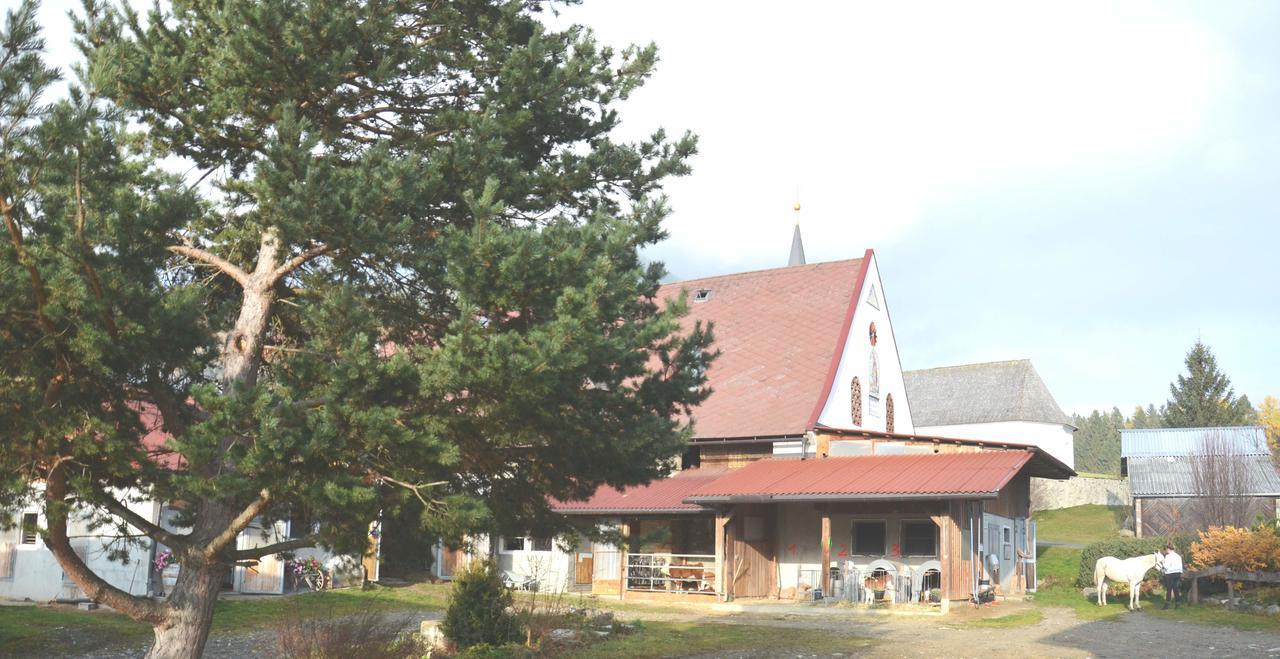 Erholung Am Bauernhof Bei Familie Seidl / Messner Βίλα Zeutschach Εξωτερικό φωτογραφία
